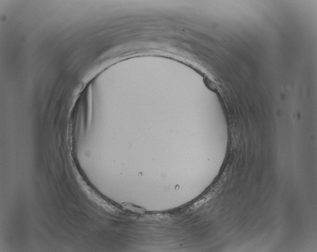 X0000067901526200605041605