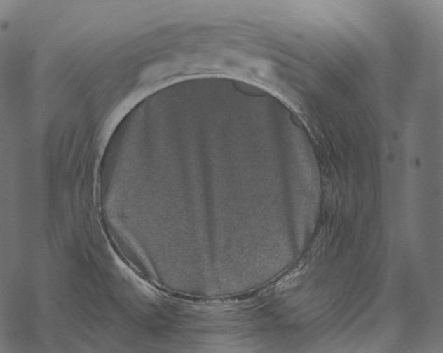 X0000067901527200605041605