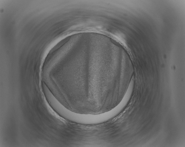 X0000067901528200605041605