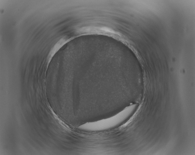 X0000067901529200605041605