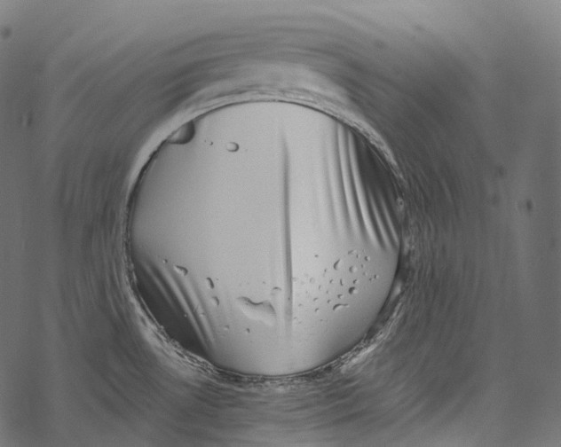 X0000067901530200605041605