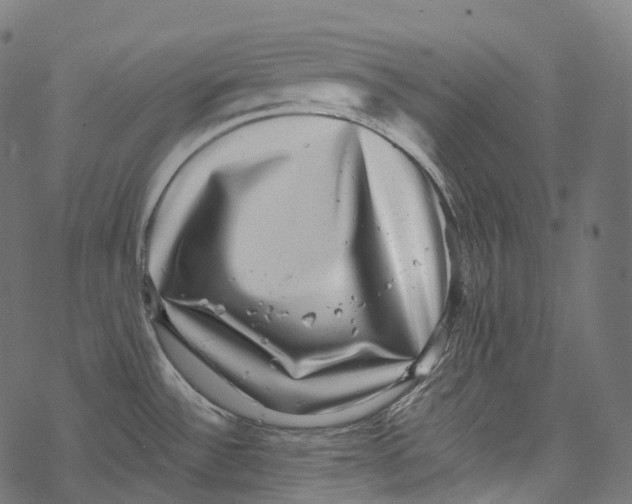 X0000067901532200605041605