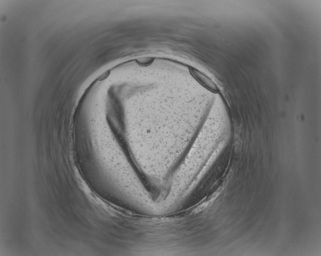 X0000067901534200605041605