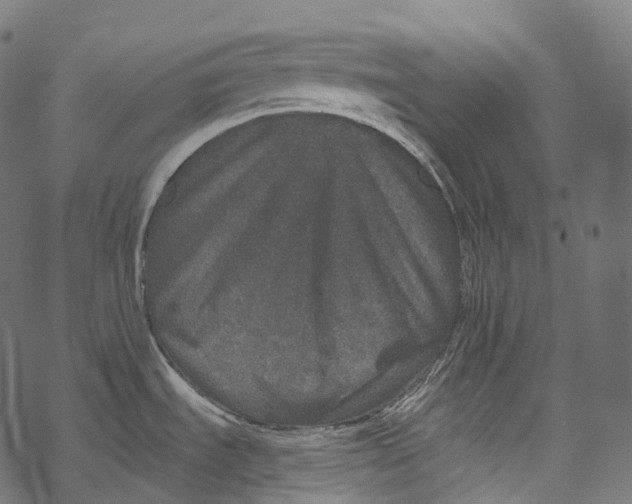 X0000067901535200605041605