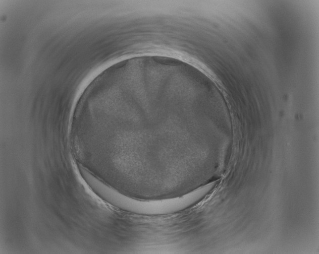 X0000067901536200605041605