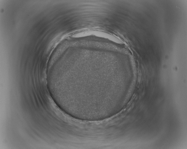 X0000067900002200605111929