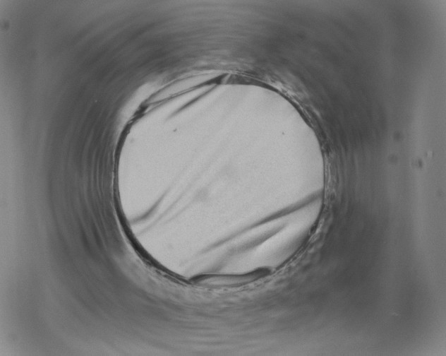 X0000067900003200605111929