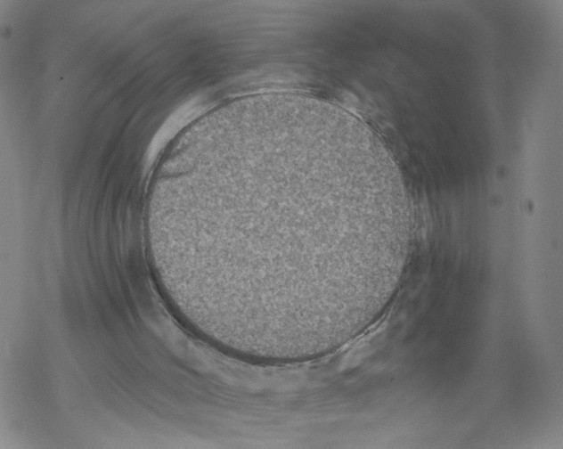 X0000067900004200605111929