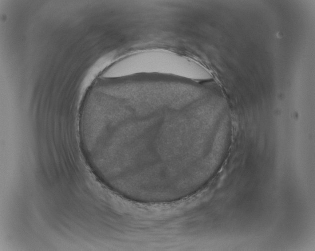 X0000067900006200605111929