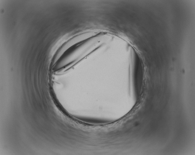 X0000067900007200605111929