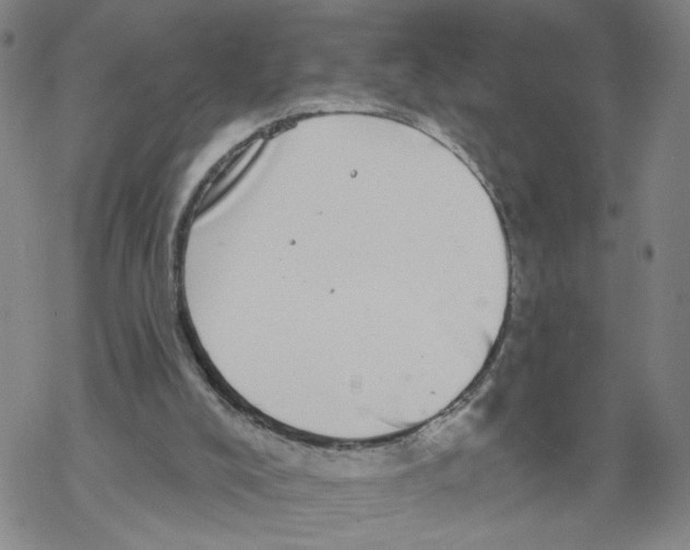 X0000067900008200605111929