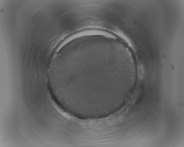 X0000067900009200605111929