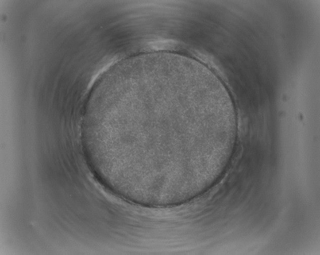 X0000067900010200605111929