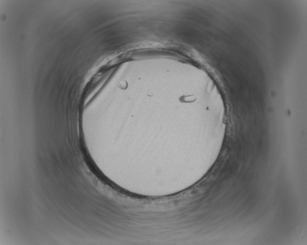 X0000067900011200605111929