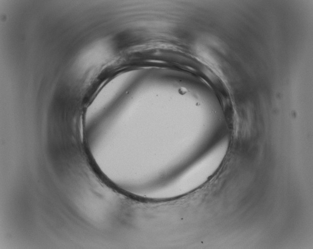 X0000067900013200605111929