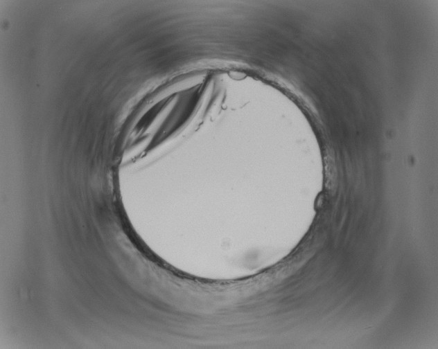 X0000067900015200605111929