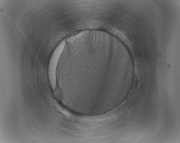 X0000067900017200605111929