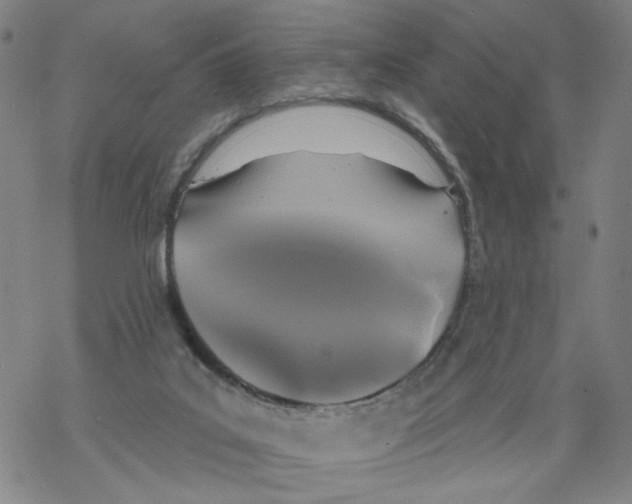 X0000067900019200605111929