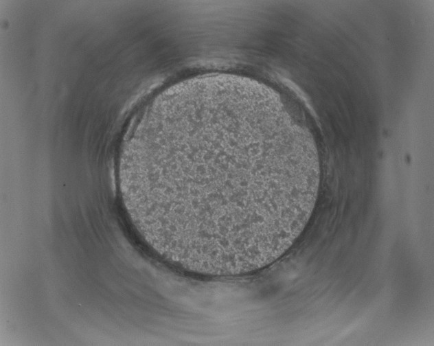 X0000067900020200605111929