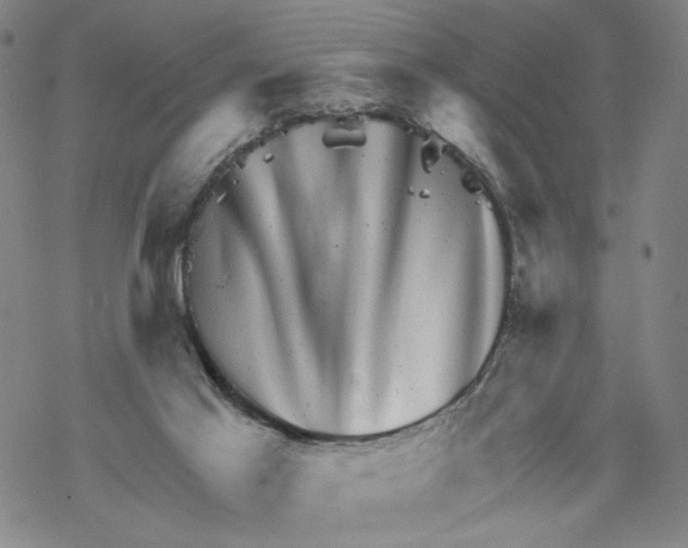 X0000067900021200605111929