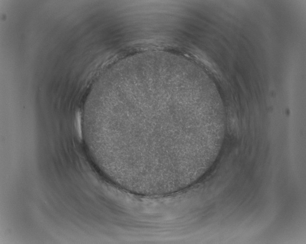 X0000067900022200605111929