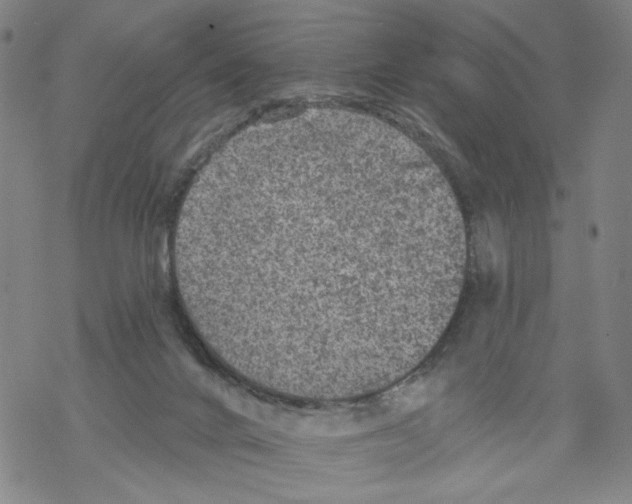 X0000067900024200605111929