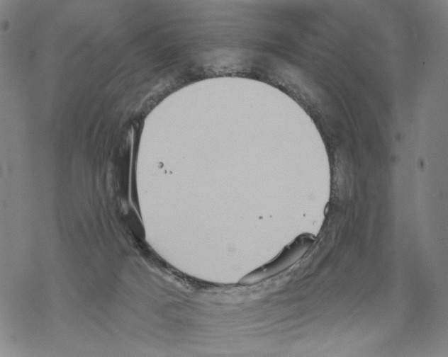 X0000067900025200605111929