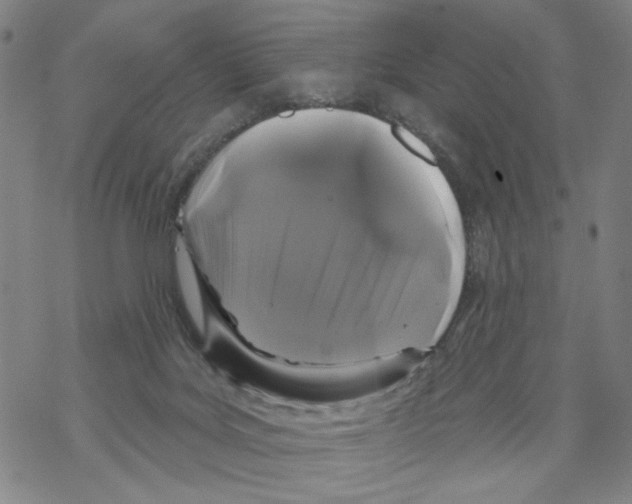 X0000067900027200605111929