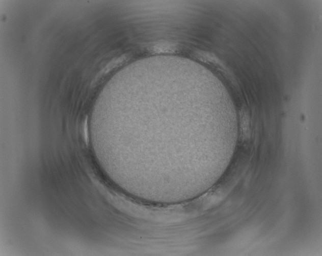 X0000067900028200605111929