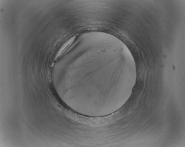 X0000067900031200605111929