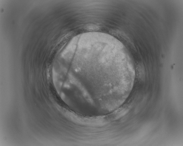 X0000067900032200605111929