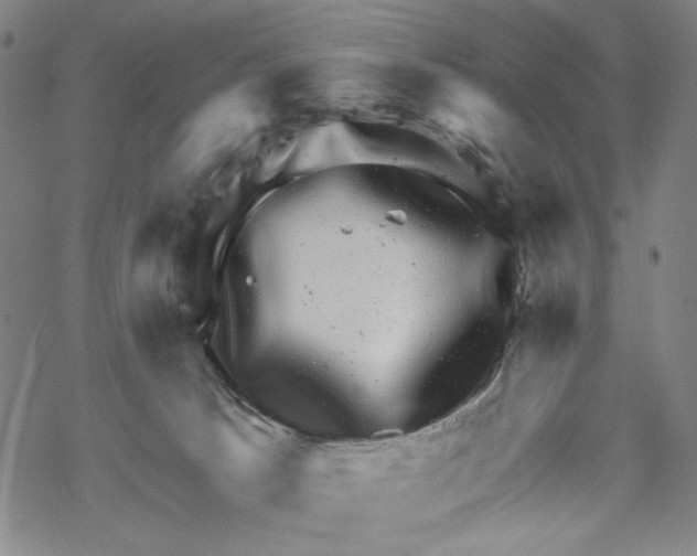 X0000067900033200605111929