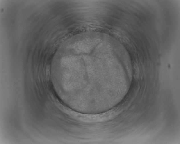 X0000067900034200605111929