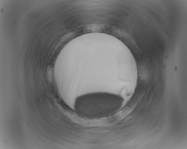 X0000067900036200605111928