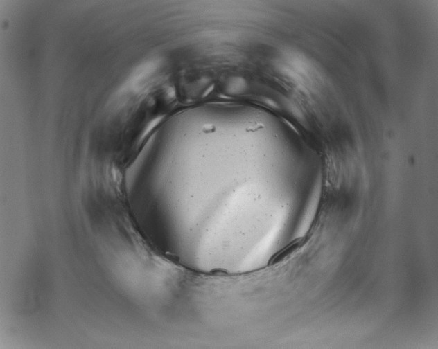 X0000067900037200605111928