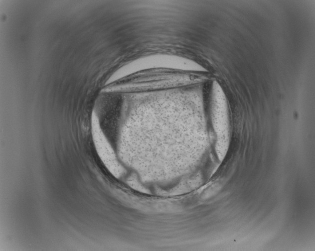 X0000067900040200605111928