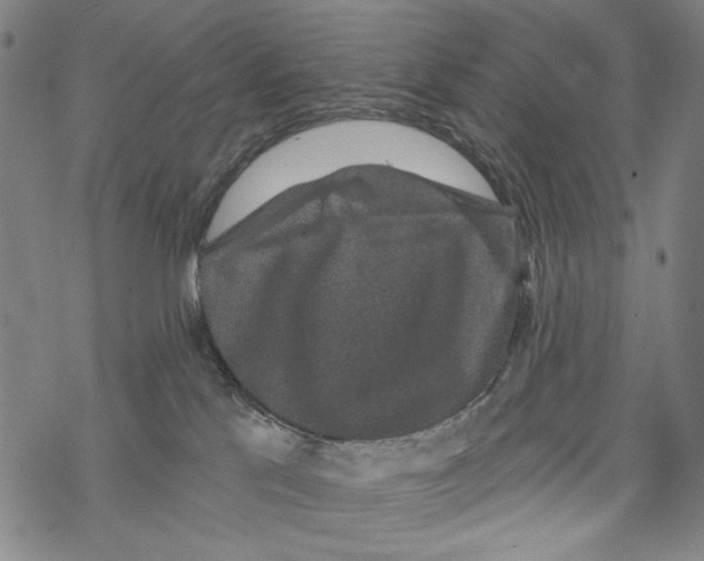 X0000067900041200605111928