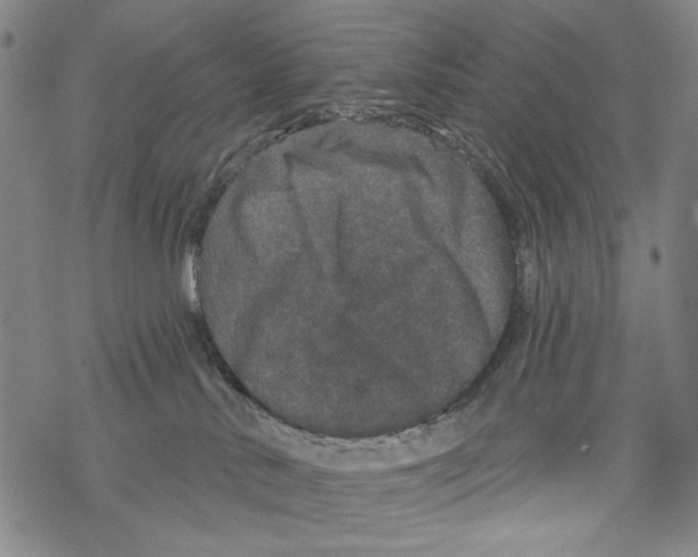 X0000067900042200605111928