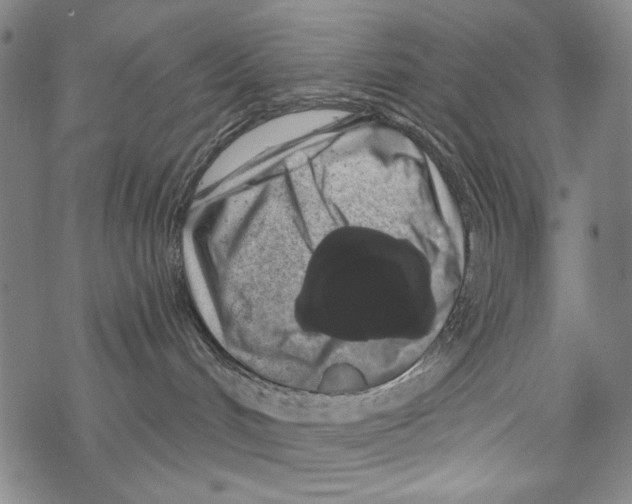 X0000067900048200605111928