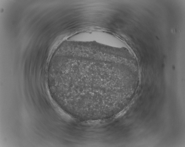 X0000067900049200605111927