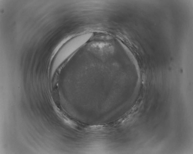 X0000067900052200605111928