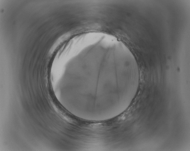 X0000067900054200605111928