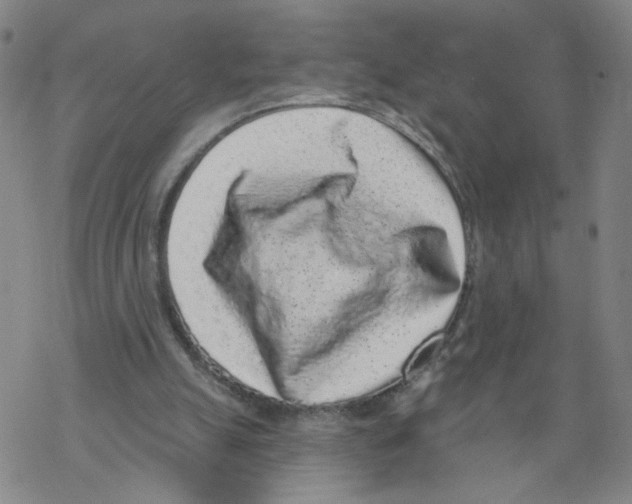 X0000067900055200605111928