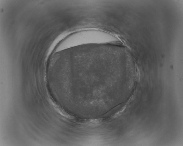 X0000067900056200605111928