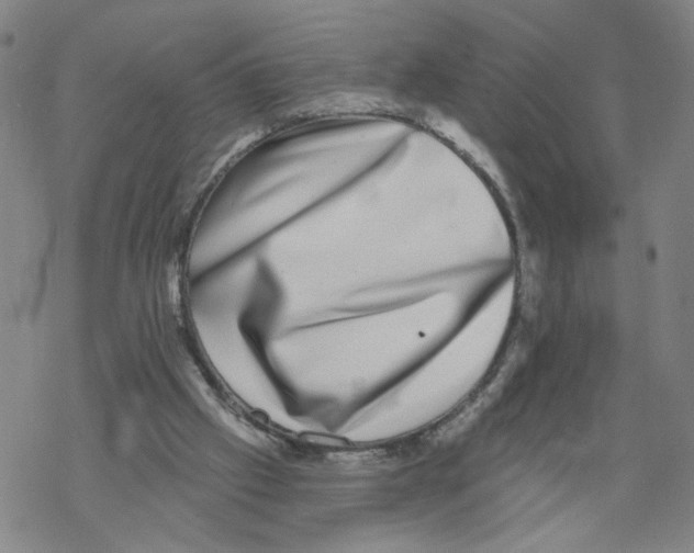 X0000067900057200605111928