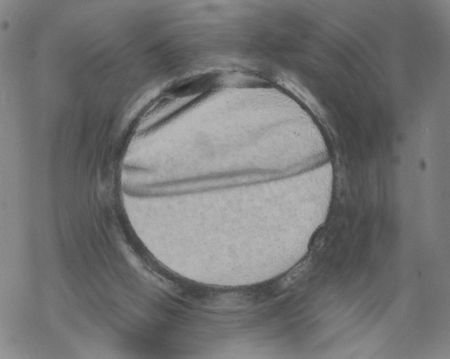 X0000067900058200605111928