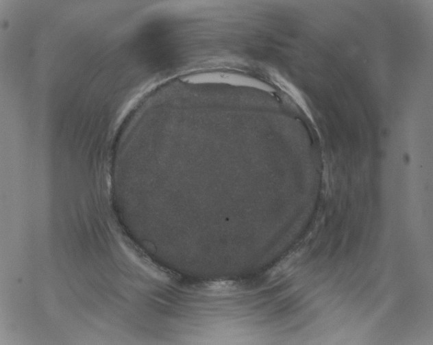 X0000067900059200605111928