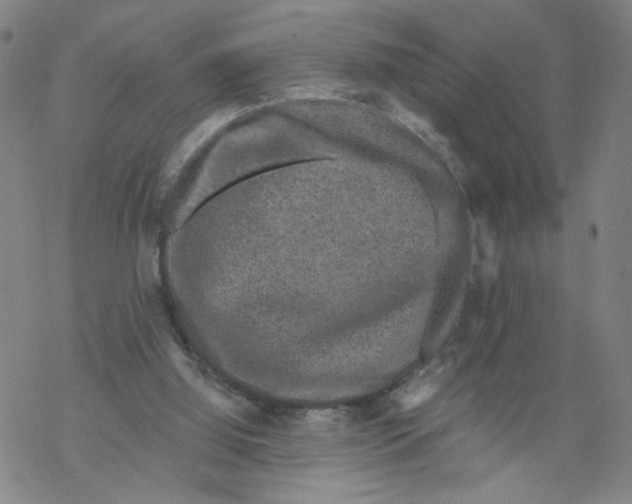 X0000067900060200605111928