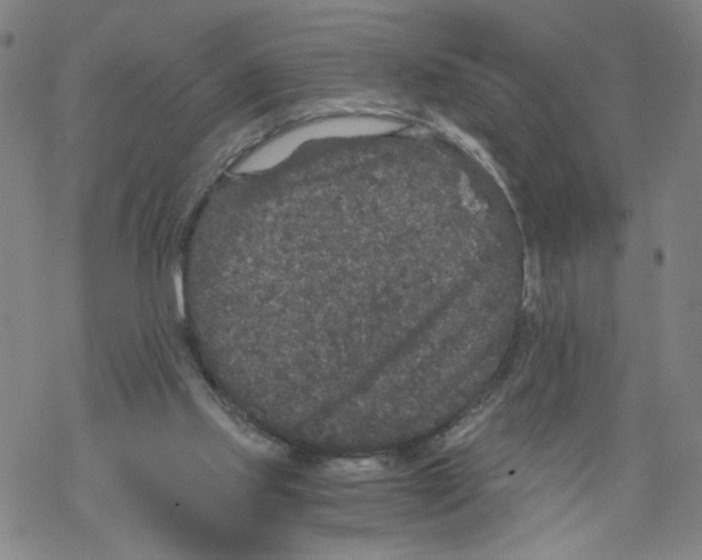 X0000067900061200605111928