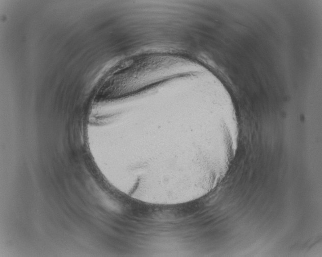 X0000067900062200605111928